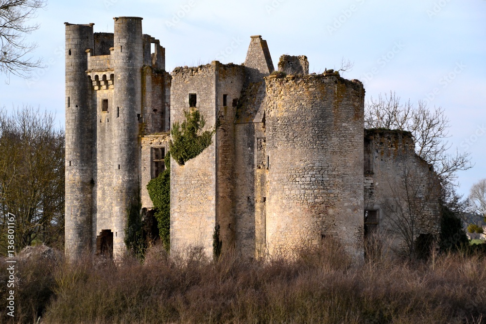 Château de Passy les tours

