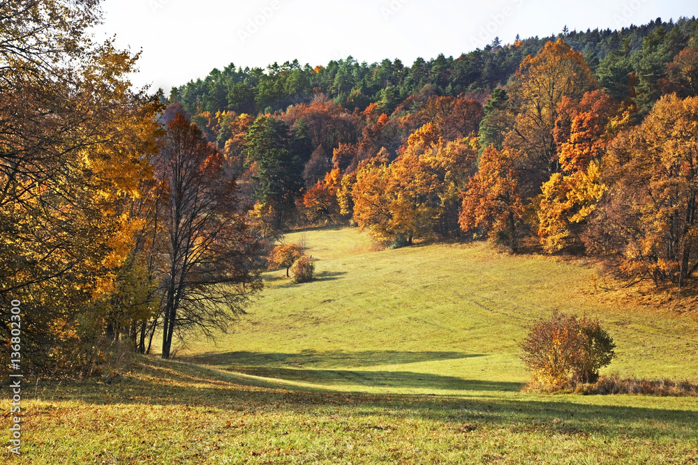 Landscape near Bojnice. Slovakia
