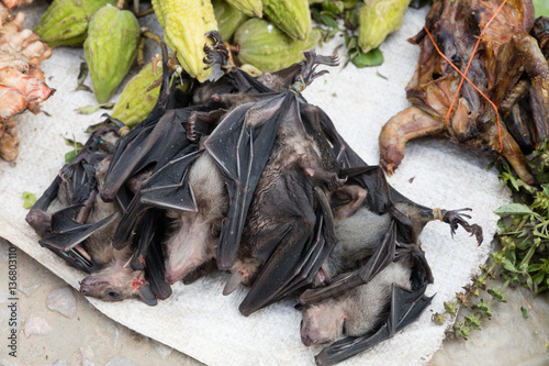 Bats at market photo