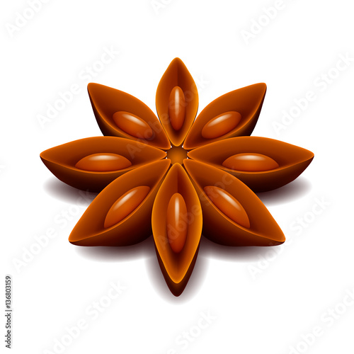 Star anise isolated on white vector