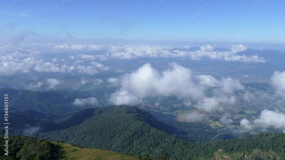 tropical forest and mountain landscape in morning tropical forest and mountain landscape in morning
