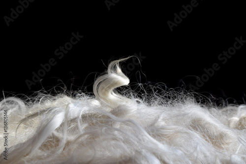 This is a pile of soft freshly cleaned fiber from a suri alpaca ready to be spun into yarn. A single curl shows the soft shiny texture of the fiber. photo