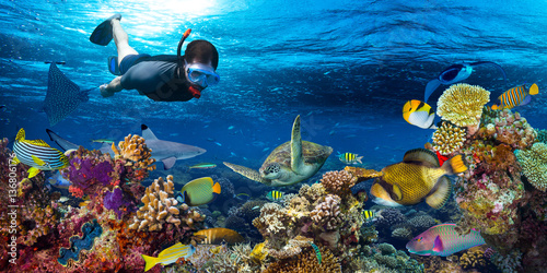 młody mężczyzna snorkler zwiedzania kolorowe podwodny świat rafa koralowa z wieloma rybami rekin żółw morski snorkling tle