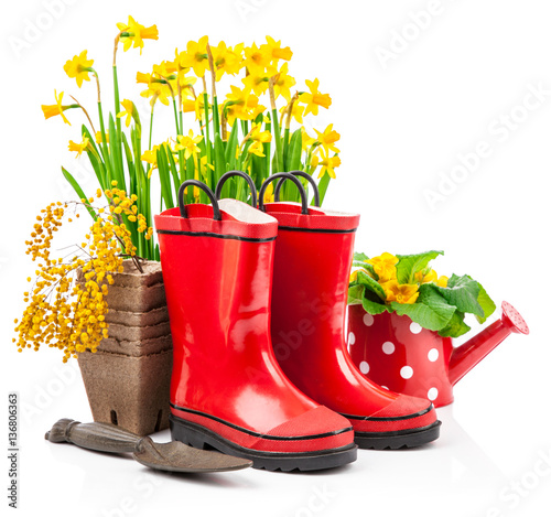 Spring flowers narcissus in basket with branch