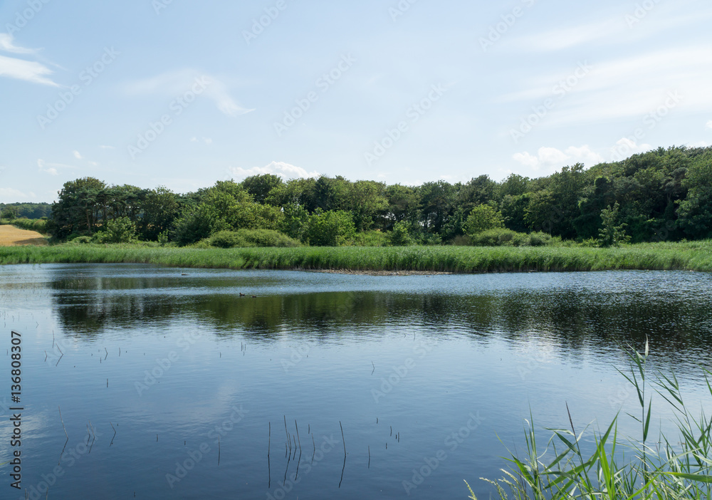 Landscape reflection in a lake