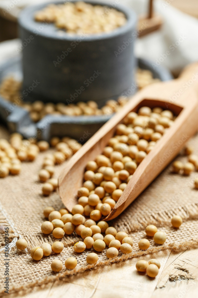 Soybeans in wooden scoop and a little stone mill Soybeans in wooden scoop and a little stone mill