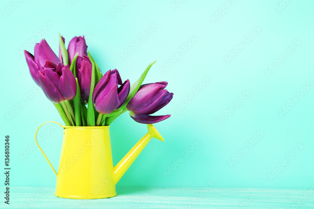 Bouquet of tulips in watering can on green background