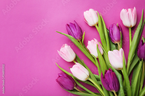 Fototapeta Naklejka Na Ścianę i Meble -  Bouquet of tulips on a pink background