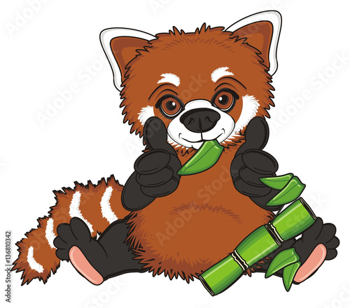Fototapeta Naklejka Na Ścianę i Meble -  sit, food, eat, green, gesture, class, leaves, animal, cartoon, tail, orange, bear, china, panda, orange, red, stripes, red parnda, striped,