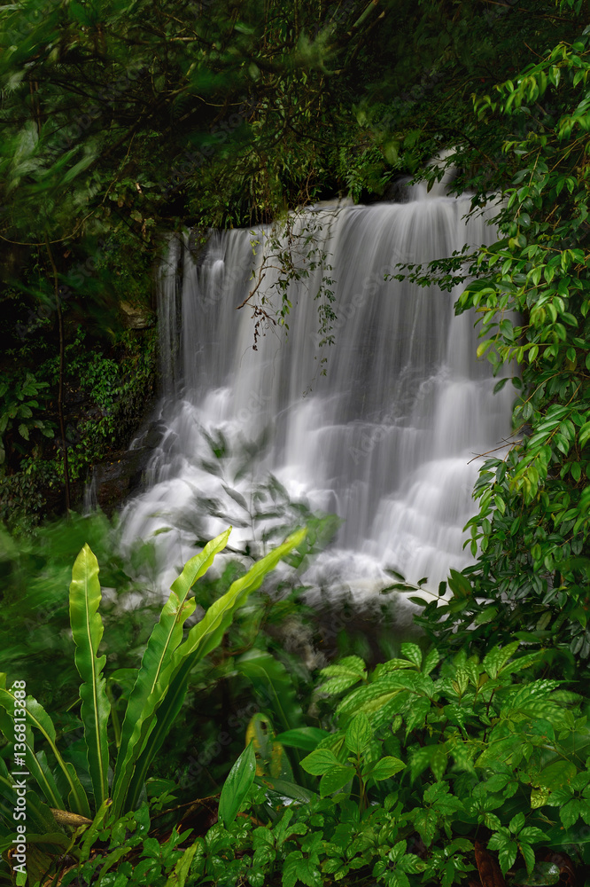 Obraz premium waterfall in forest