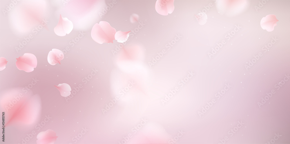 Pink sakura petals fall to the floor. Pink sakura petals fall to the floor.