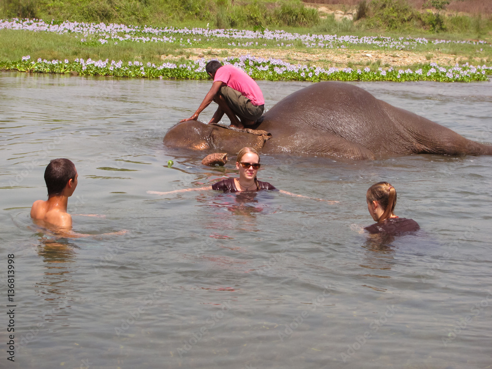 Fototapeta premium Touristen beim Baden mit Elefanten