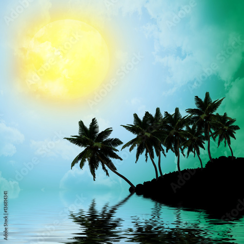Fototapeta Naklejka Na Ścianę i Meble -  Palm trees a on  sunset background