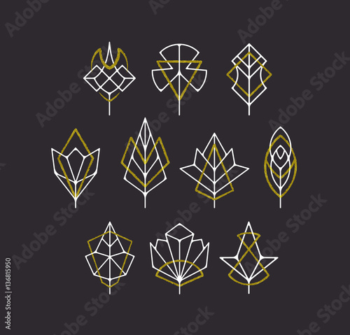 Vector nature leaves and trees' symbols