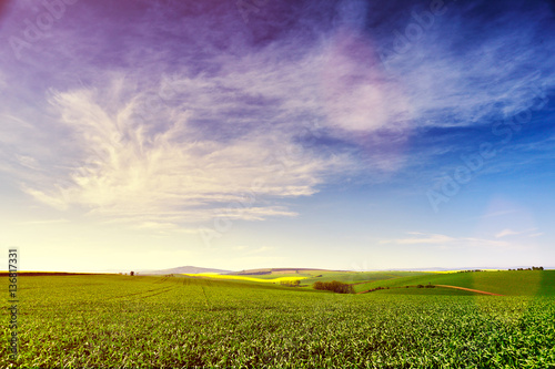 Sunny rural spring landscape. Green spring farmland on hills.