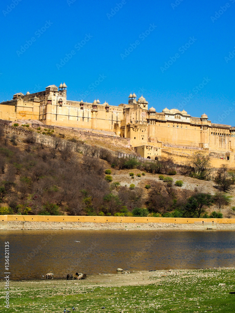 A view of the Amber Fort overlooking a pond in Jaipur, India.