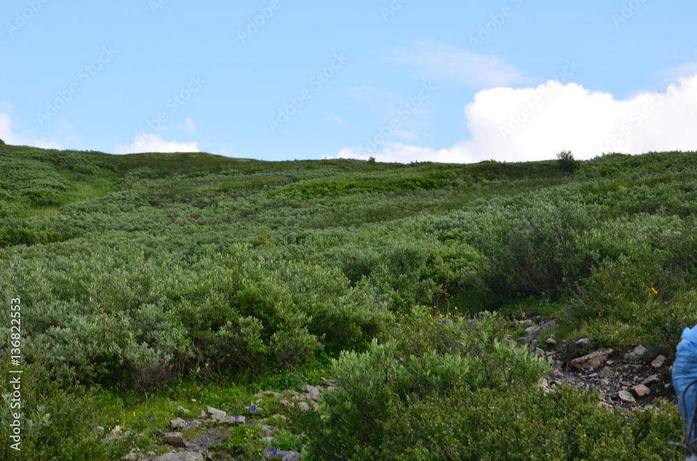 Fototapeta premium Travel to Altay Mountains during the holidays