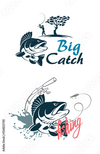 perch fishing