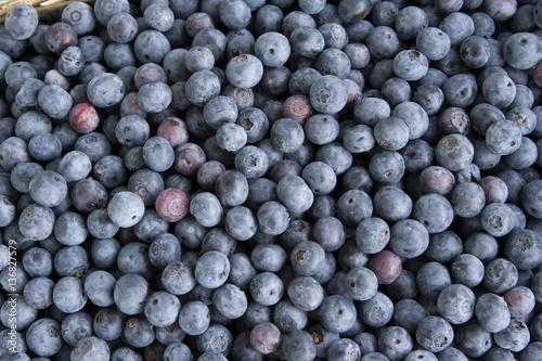 Blueberries