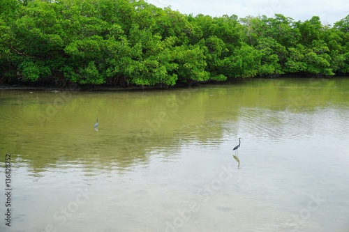 State Park in Florida 