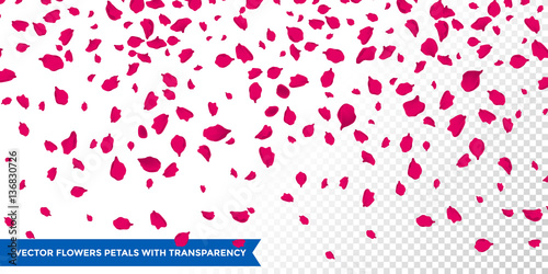 Flowers petals falling on vector transparent background