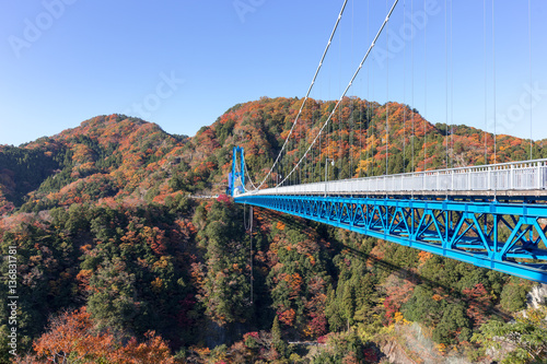 竜神大吊橋