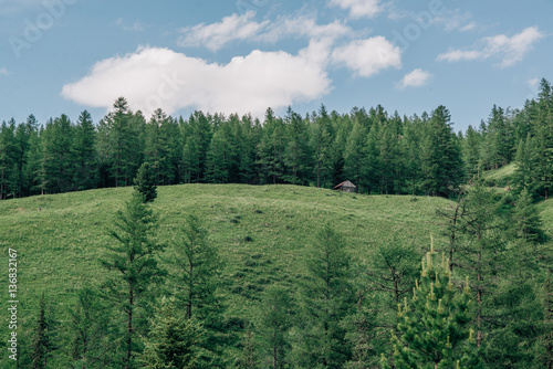 Lodge on pine forest hill