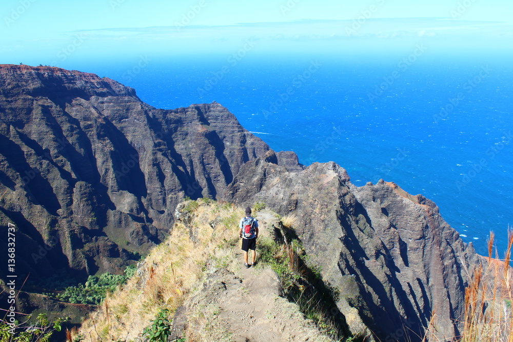 Fototapeta premium nature in kauai, Hawaii
