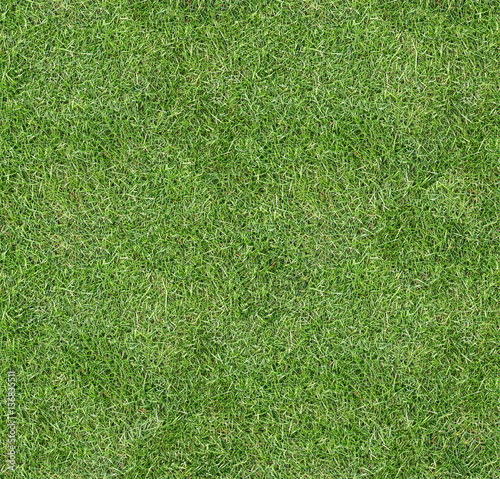 Seamless square green grass texture.