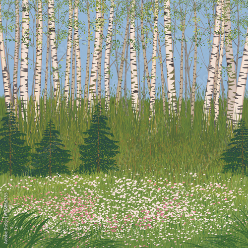 Vector illustration a flowering meadow in a forest 