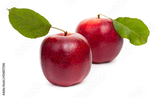 Two red apples isolated on white background, close-up.