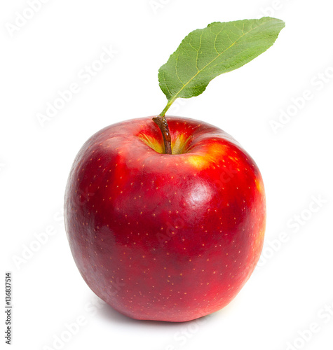 Red apple isolated on a white background  close-up.