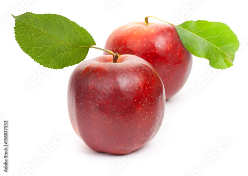 Two red apples isolated on white background, close-up.