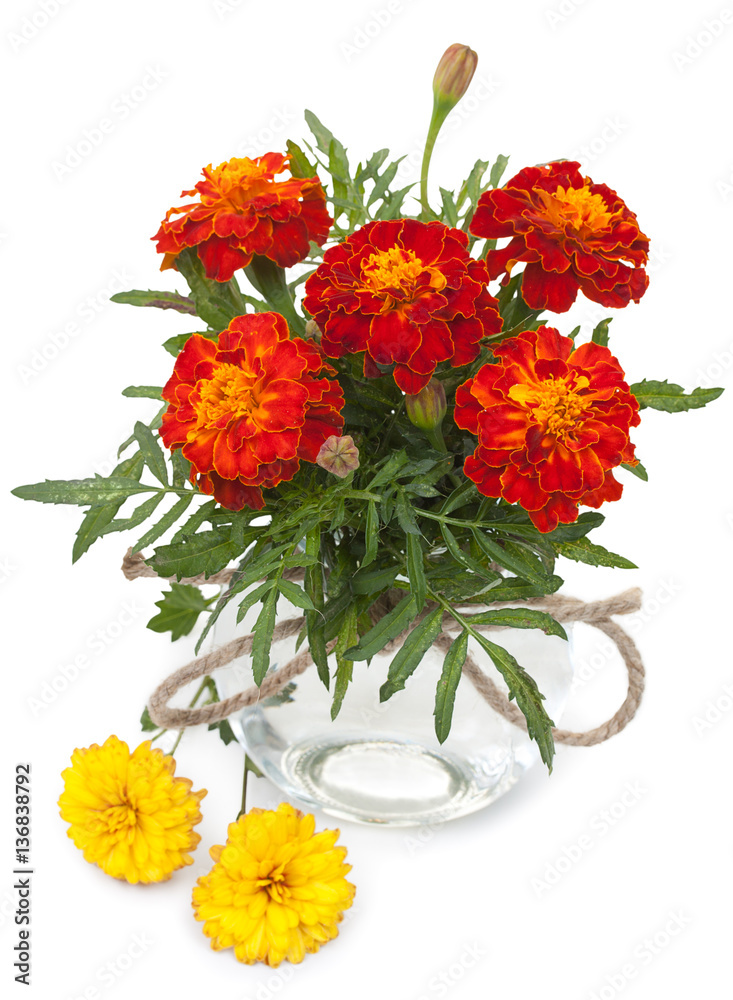 Obraz premium Beautiful flowers marigolds in a glass jar with ropes bowknot an