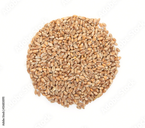 Grain of wheat isolated on a white background. Top view.
