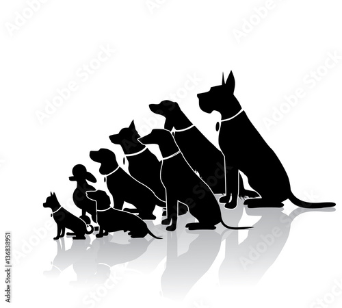 Group of sitting dogs in different breeds. Dog silhouette collection with copy space. Ranging in size from tiny Chihuahua to huge Great Dane. EPS 10 vector.