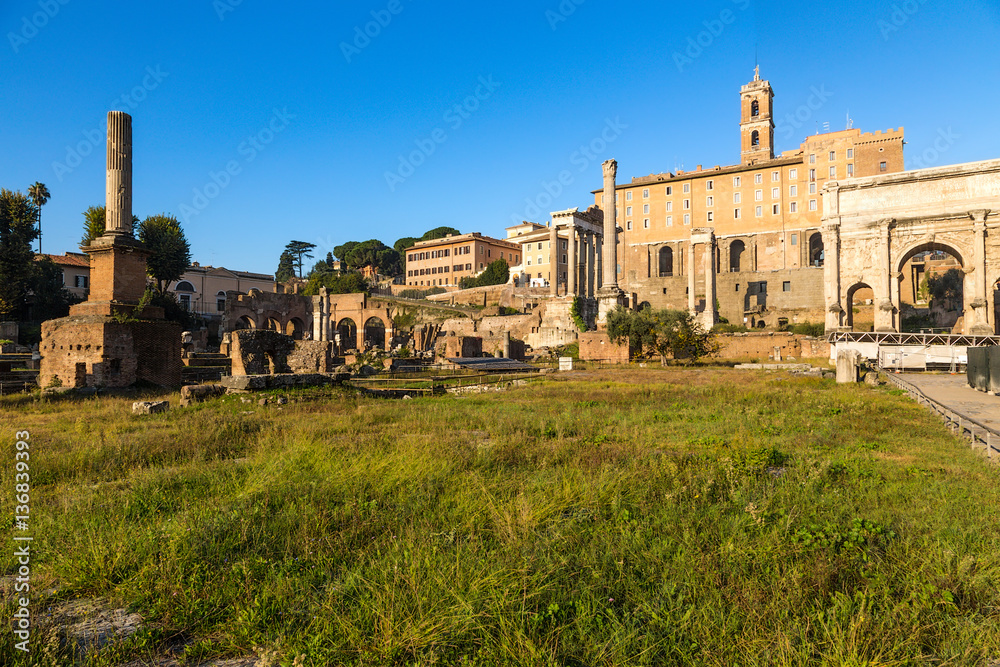 Rome. Italy. The picturesque ruins of the Roman Forum