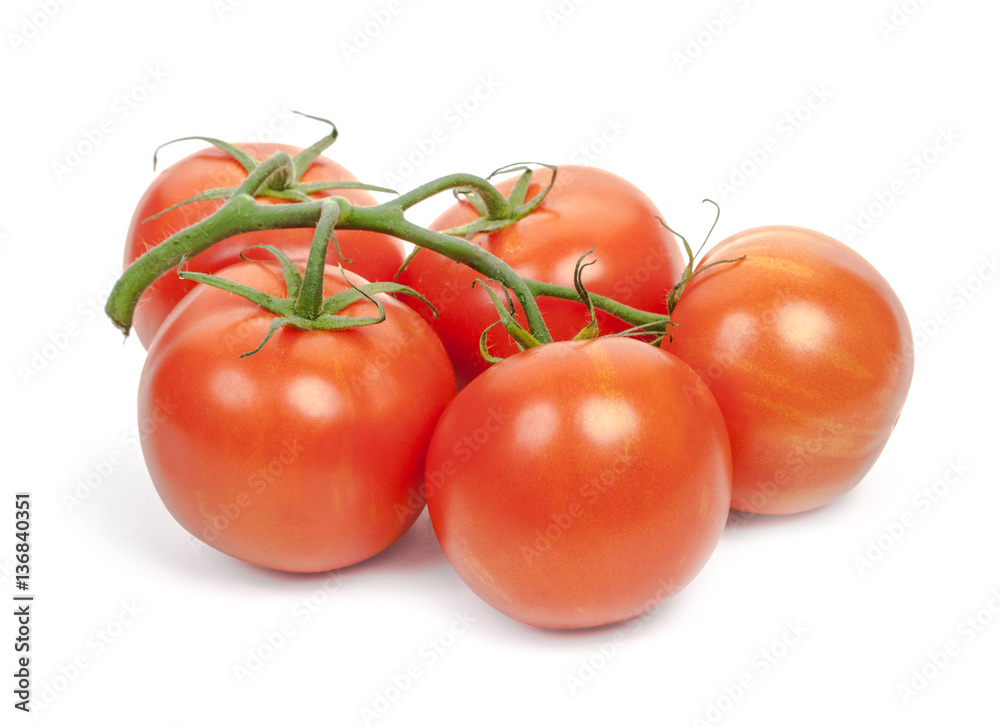 Branch of red fresh tomatoes isolated on white background, close Branch of red fresh tomatoes isolated on white background, close