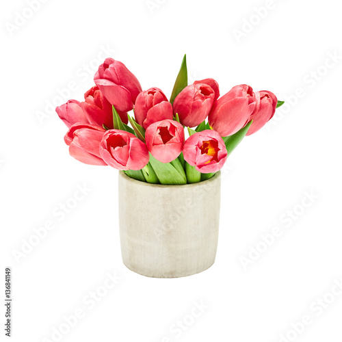 Fototapeta Naklejka Na Ścianę i Meble -  Bouquet of red tulips in vase. Selective focus. Isolated over white background