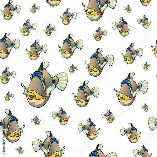 Picasso triggerfish pattern photo
