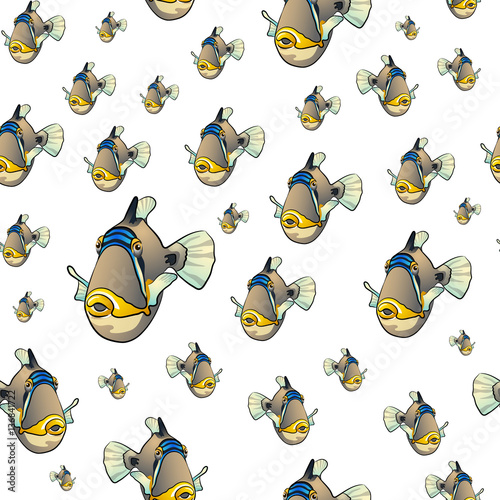 Picasso triggerfish pattern