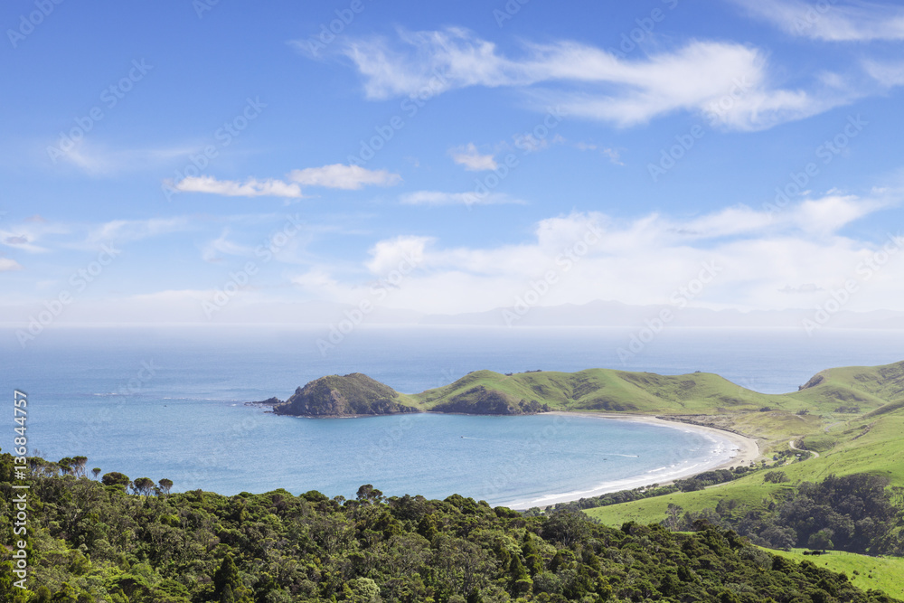 Fototapeta premium Coromandel Port Jackson New Zealand