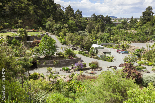 Whangarei Quarry Gardens, Northland, New Zealand. photo