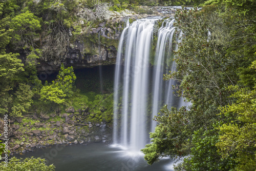 Rainbow Falls  Kerikeri  New Zealand