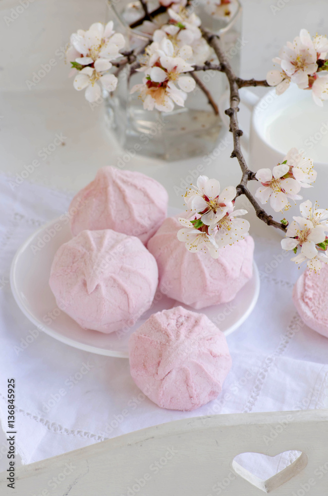 Background with flowering branch of apricot and pink marshmallow Background with flowering branch of apricot and pink marshmallow