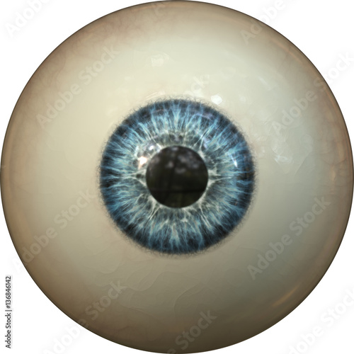 Illustration of a blue iris. Digital artwork creative graphic design. 