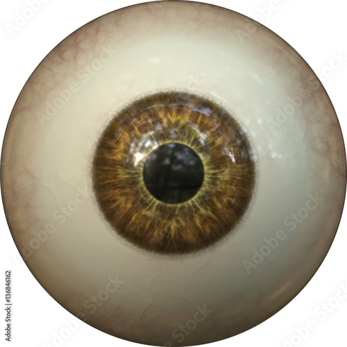 Illustration of a white pupile with brown iris. Digital artwork creative graphic design. 