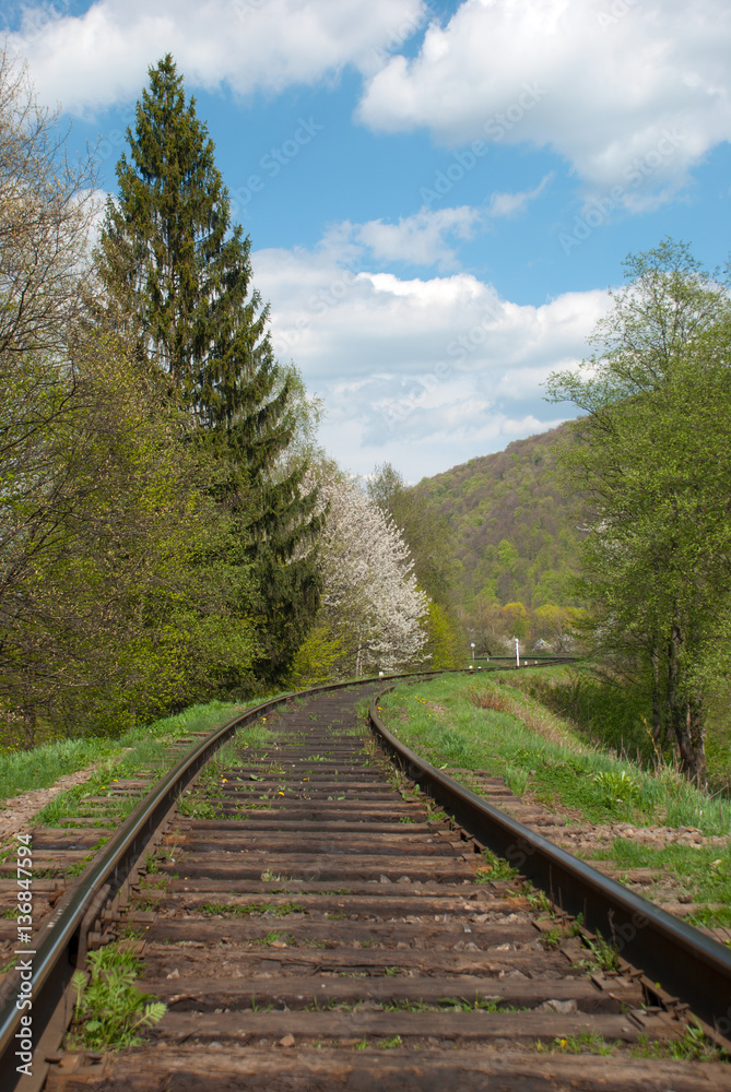 Fototapeta premium Railway in the mountains