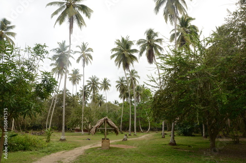 parque Nacional Natural Tayrona, Colombia, Latinoamérica silvestre photo