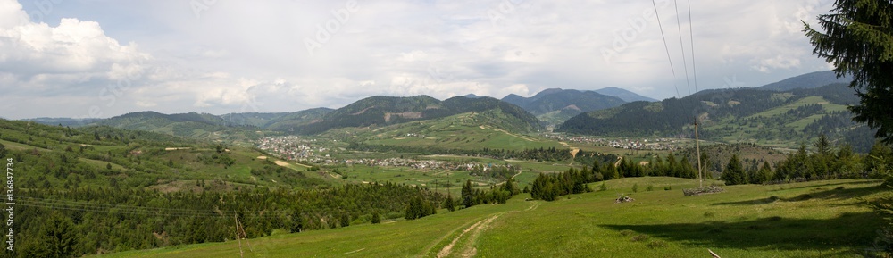 panorama of mountain landscape with green forest and grass